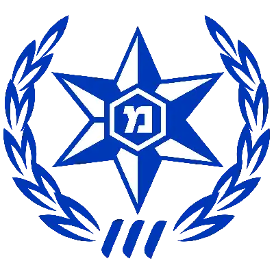 משטרת ישראל
